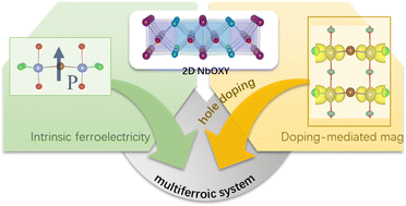 Graphical abstract: Tunable magnetism in two-dimensional ferroelectric Janus NbOXY (X, Y = Cl, Br, I; X ≠ Y) by hole doping