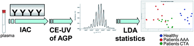 Graphical abstract: Study of the capillary electrophoresis profile of intact α-1-acid glycoprotein isoforms as a biomarker of atherothrombosis