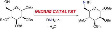 Graphical abstract: Iridium-catalysed condensation of alcohols and amines as a method for aminosugar synthesis