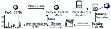 Graphical abstract: Trace level monitoring of pesticides in water samples using fatty acid coated magnetic nanoparticles prior to GC-MS