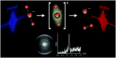 Graphical abstract: Photodetachment and photodissociation of the linear OCuO− molecular anion: energy and time dependence of Cu− production