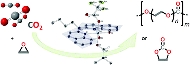 Graphical abstract: Highly active Cr(iii) catalysts for the reaction of CO2 with epoxides