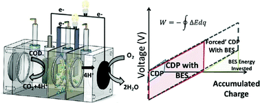Graphical abstract: Capacitive mixing power production from salinity gradient energy enhanced through exoelectrogen-generated ionic currents