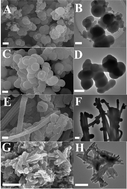 Graphical abstract: Methanol-induced formation of 1D poly(m-phenylenediamine) by conventional chemical oxidative polymerization exhibiting superior Ag+ adsorption ability