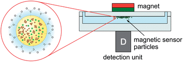 Graphical abstract: Magnetic optical sensor particles: a flexible analytical tool for microfluidic devices