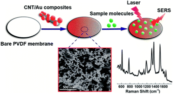 Graphical abstract: Carbon nanotube/gold nanoparticle composite-coated membrane as a facile plasmon-enhanced interface for sensitive SERS sensing