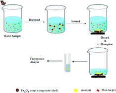 Graphical abstract: An electrospun magnetic nanocomposite for a facile micro-scaled analysis approach