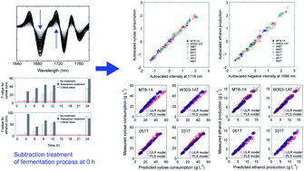 Graphical abstract: A new screening method for recombinant Saccharomyces cerevisiae strains based on their xylose fermentation ability measured by near infrared spectroscopy