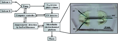 Graphical abstract: A simple microfluidic electrochemical HPLC detector for quantifying Fenton reactivity from welding fumes