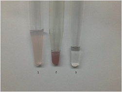 Graphical abstract: Determination of total chromium in tea samples by suspension dispersive solid phase extraction combined with silver nanoparticles and using flame atomic absorption spectrometry