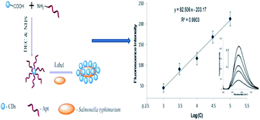 Graphical abstract: Rapid and sensitive detection of Salmonella typhimurium using aptamer-conjugated carbon dots as fluorescence probe