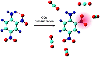 Graphical abstract: Molecular interactions with CO2 for controlling the regioselectivity of liquid phase hydrogenation of 2,4-dinitroaniline
