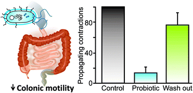 Graphical abstract: The probiotic Escherichia coli Nissle 1917 inhibits propagating colonic contractions in the rat isolated large intestine