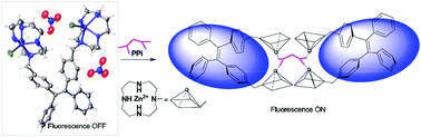 Graphical abstract: The dicyclen–TPE zinc complex as a novel fluorescent ensemble for nanomolar pyrophosphate sensing in 100% aqueous solution