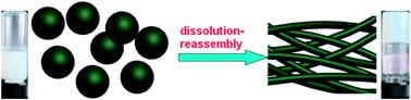 Graphical abstract: Supramolecular hydrogel based on amphiphilic calix[4]arene and its application in the synthesis of silica nanotubes