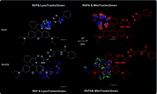 Graphical abstract: Rhodamine-based lysosome-targeted fluorescence probes: high pH sensitivity and their imaging application in living cells