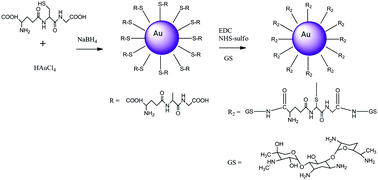 Graphical abstract: Continuous release of gentamicin from gold nanocarriers