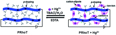 Graphical abstract: Reversible sensing of aqueous mercury using a rhodamine-appended polyterthiophene network on indium tin oxide substrates