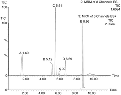 Graphical abstract: Resistance investigation of wheat bran polyphenols extracts on HEK293 cells against oxidative damage