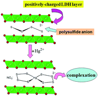 Graphical abstract: Highly selective and efficient heavy metal capture with polysulfide intercalated layered double hydroxides
