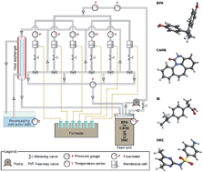 Graphical abstract: Development of novel charged surface modifying macromolecule blended PES membranes to remove EDCs and PPCPs from drinking water sources