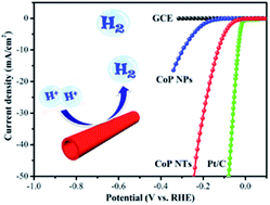Graphical abstract: Template-assisted synthesis of CoP nanotubes to efficiently catalyze hydrogen-evolving reaction