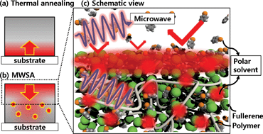 Graphical abstract: Microwave-assisted solvent vapor annealing to rapidly achieve enhanced performance of organic photovoltaics