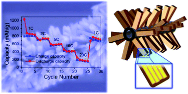 Graphical abstract: Branched CNT@SnO2 nanorods@carbon hierarchical heterostructures for lithium ion batteries with high reversibility and rate capability