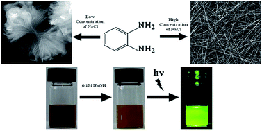 Graphical abstract: Morphology controllable fabrication of poly-o-phenylenediamine microstructures tuned by the ionic strength and their applications in pH sensors