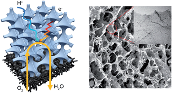 Graphical abstract: Rational design of a highly efficient Pt/graphene–Nafion® composite fuel cell electrode architecture