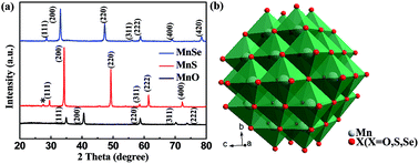 Graphical abstract: The anion effect on the oxygen reduction of MnX (X = O, S, and Se) catalysts