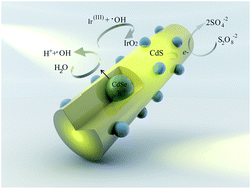 Graphical abstract: Photochemical oxidation on nanorod photocatalysts