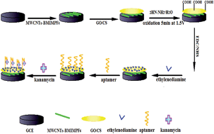 Graphical abstract: A novel electrochemical aptasensor based on MWCNTs–BMIMPF6 and amino functionalized graphene nanocomposite films for determination of kanamycin