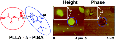 Graphical abstract: The crystallinity, thermal properties and microscopic morphology of di-block copolymers of l-lactide and several acrylates