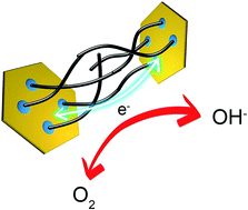 Graphical abstract: A ‘point–line–point’ hybrid electrocatalyst for bi-functional catalysis of oxygen evolution and reduction reactions