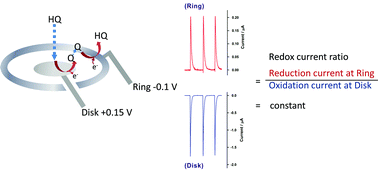 Graphical abstract: Self-validated detection of hydroquinone in medicated cosmetic products using a preanodized screen-printed ring disk carbon electrode