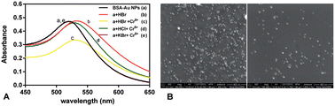 Graphical abstract: Colorimetric sensing of chromium(vi) ions in aqueous solution based on the leaching of protein-stabled gold nanoparticles