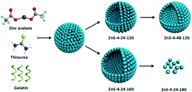 Graphical abstract: Gelatin-assisted synthesis of ZnS hollow nanospheres: the microstructure tuning, formation mechanism and application for Pt-free photocatalytic hydrogen production