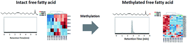 Graphical abstract: A rapid and sensitive profiling of free fatty acids using liquid chromatography electrospray ionization tandem mass spectrometry (LC/ESI-MS/MS) after chemical derivatization