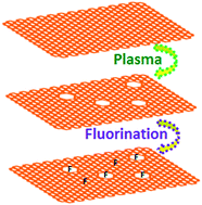 Graphical abstract: Do defects enhance fluorination of graphene?
