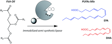 Graphical abstract: Fabrication of heterogeneous biocatalyst tethering artificial prosthetic groups to obtain omega-3-fatty acids by selective hydrolysis of fish oils