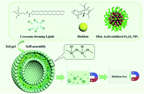 Graphical abstract: Highly efficient removal of trace level dieldrin from water resources utilizing a cerasomal strategy