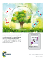 Graphical abstract: Back cover