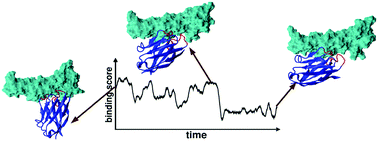 Graphical abstract: Binding affinity prediction of nanobody–protein complexes by scoring of molecular dynamics trajectories