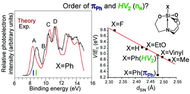Graphical abstract: Assignment of photoelectron spectra of intramolecular silicon complexes: 1-vinyl- and 1-phenylsilatranes