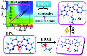 Graphical abstract: The role played by ethanol in achieving the successive versus simultaneous mechanism of excited-state double proton transfer in dipyrido[2,3-a:3′,2′-i]carbazole