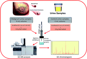Graphical abstract: A non-invasive approach to explore the discriminatory potential of the urinary volatilome of invasive ductal carcinoma of the breast