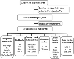 Graphical abstract: Effect of a balanced nutrition meal replacement diet with altered macromolecular composition along with caloric restriction on body weight control