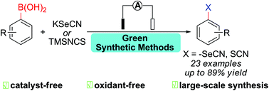 Graphical abstract: An electrochemical method for deborylative seleno/thiocyanation of arylboronic acids under catalyst- and oxidant-free conditions