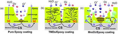 Graphical abstract: How semiconductor transition metal dichalcogenides replaced graphene for enhancing anticorrosion